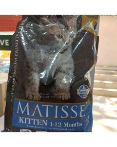 Mattisse kitten